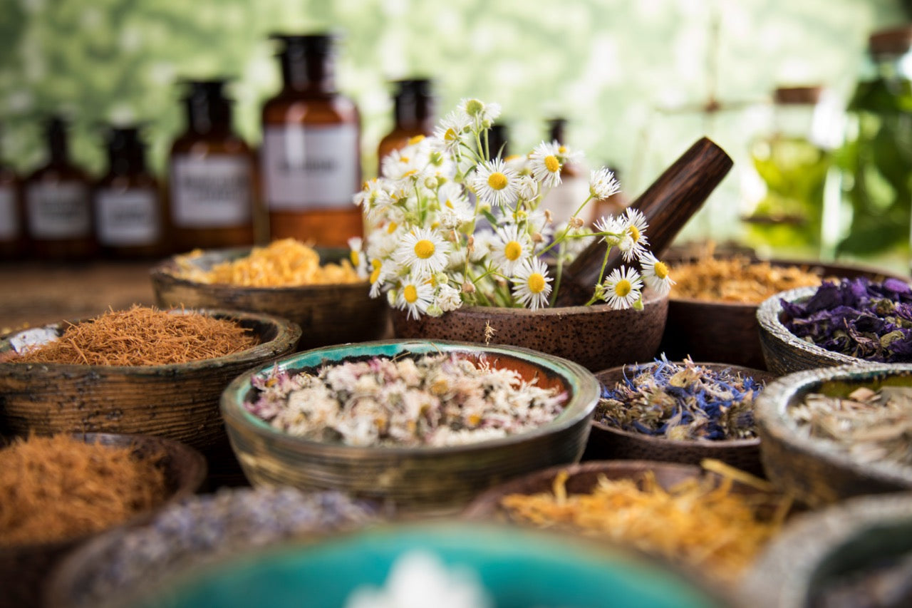 Die Kraft der Natur: Wie Heilpflanzen Ihre Hautgesundheit fördern