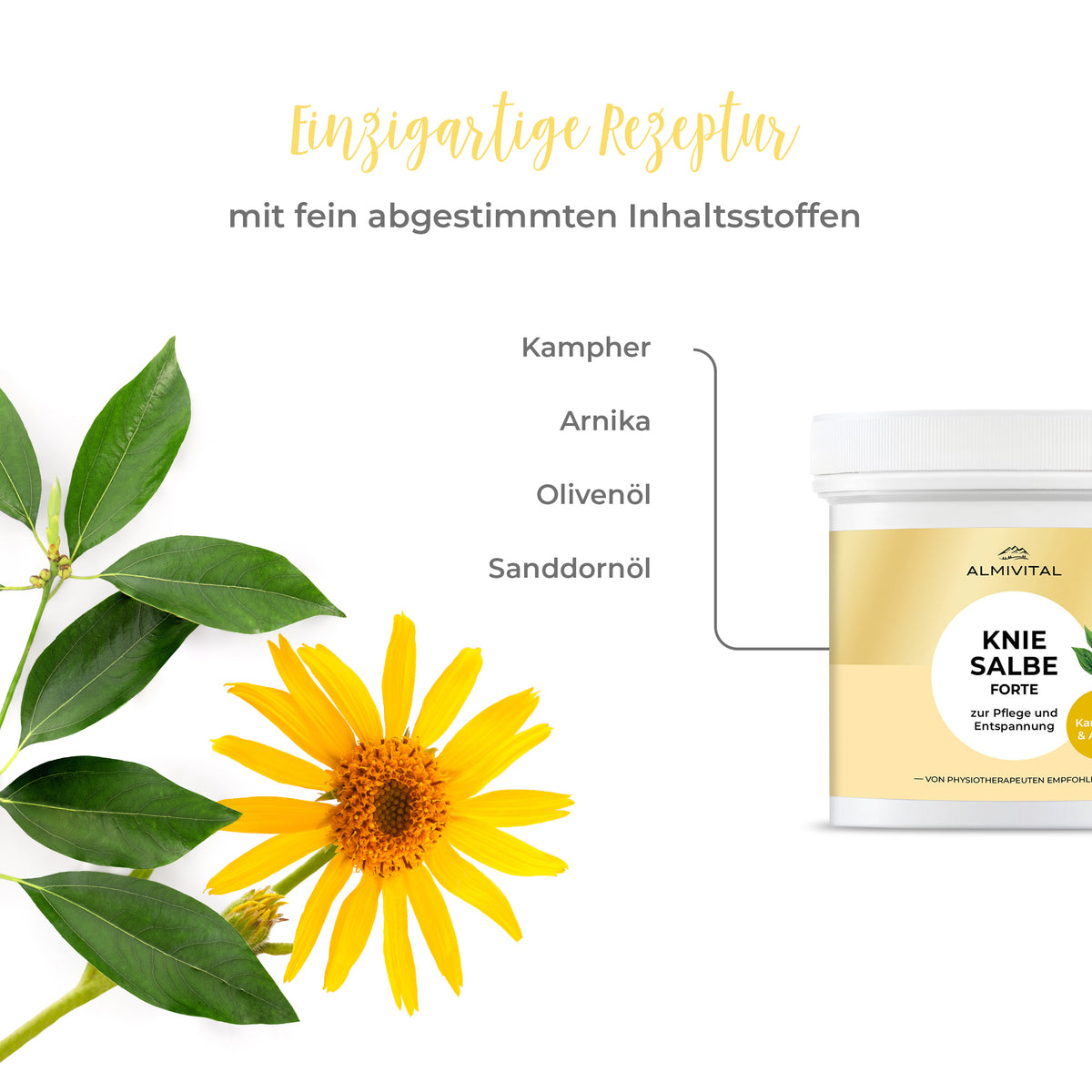 ALMIVITAL Kniesalbe FORTE 500 ml – Intensivpflege für stark beanspruchte Knie
