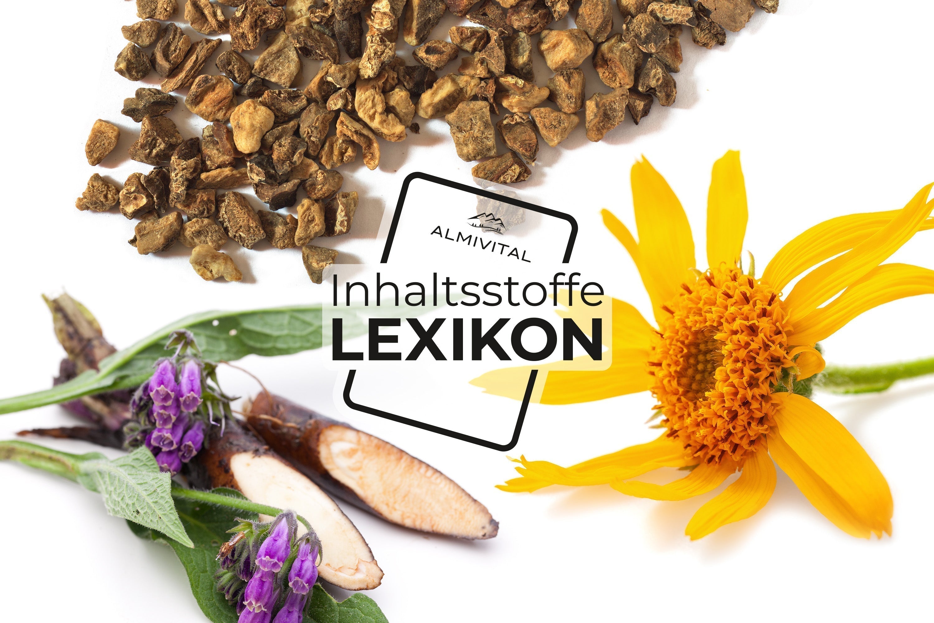 Inhaltsstoffe-Lexikon: Beinwell, Teufelskralle & Arnika: Die Kraft der Natur für Muskeln & Gelenke