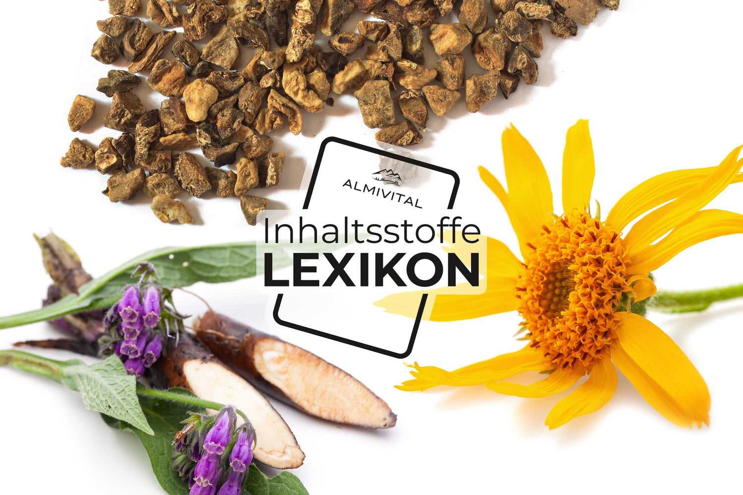 Inhaltsstoffe-Lexikon: Beinwell, Teufelskralle & Arnika – Natürliche Pflanzenkraft für Gelenke, Muskeln & Wohlgefühl