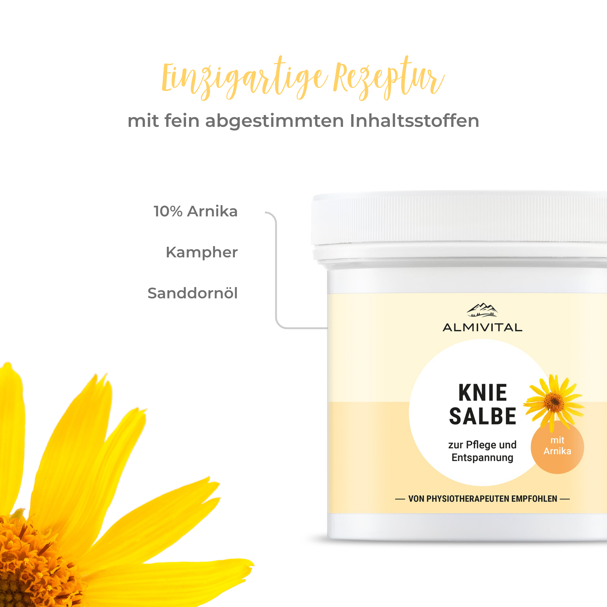 ALMIVITAL Kniesalbe 250 ml – Beruhigende Pflege und Erleichterung für beanspruchte Knie