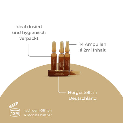 ALMIVITAL BienenTopf Akut Ampullen 14x 2ml