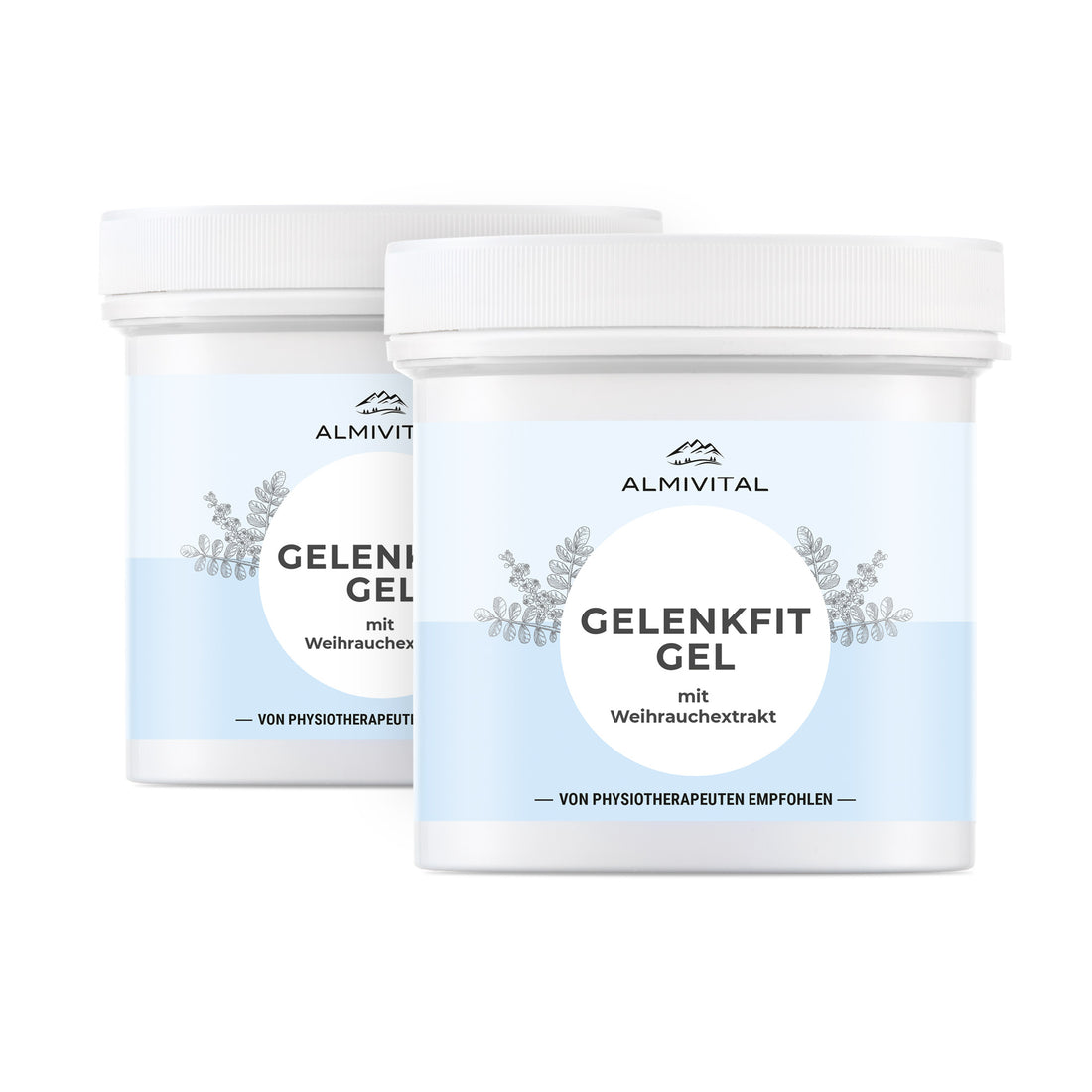 ALMIVITAL Gelenkfit Gel mit Weihrauchextrakt 2x250ml - Wohltuende Pflege für Gelenke mit Weihrauch