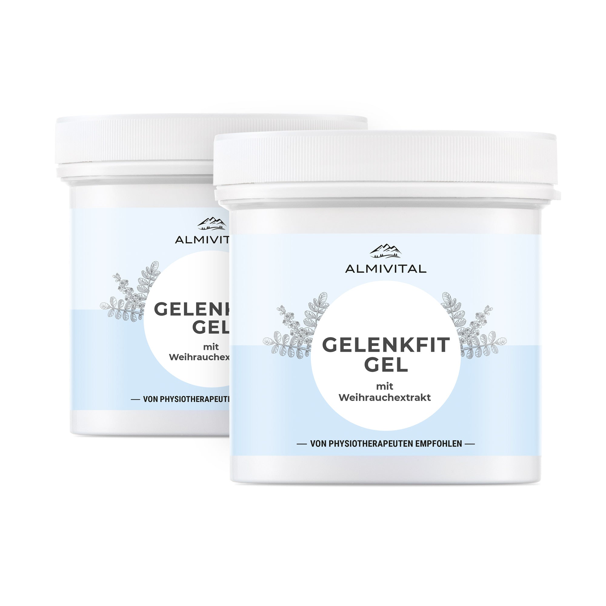 ALMIVITAL Gelenkfit Gel mit Weihrauchextrakt 2x250ml - Wohltuende Pflege für Gelenke mit Weihrauch