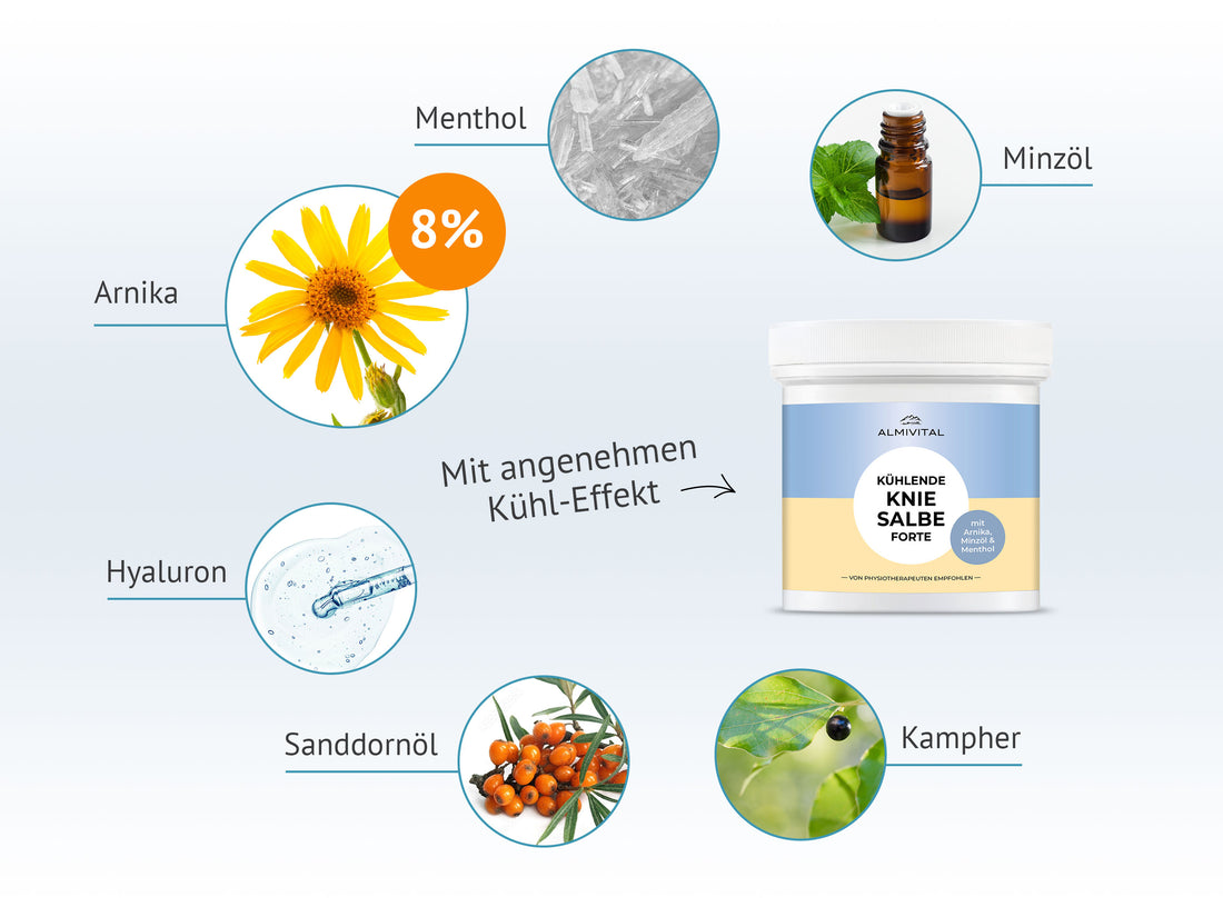 ALMIVITAL Kühlende Kniesalbe Forte – Pflege &amp; Frische für strapazierte Knie 500ml