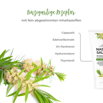 ALMIVITAL Nasensalbe mit Cajeputöl und Edelweiß Extrakt 100ml