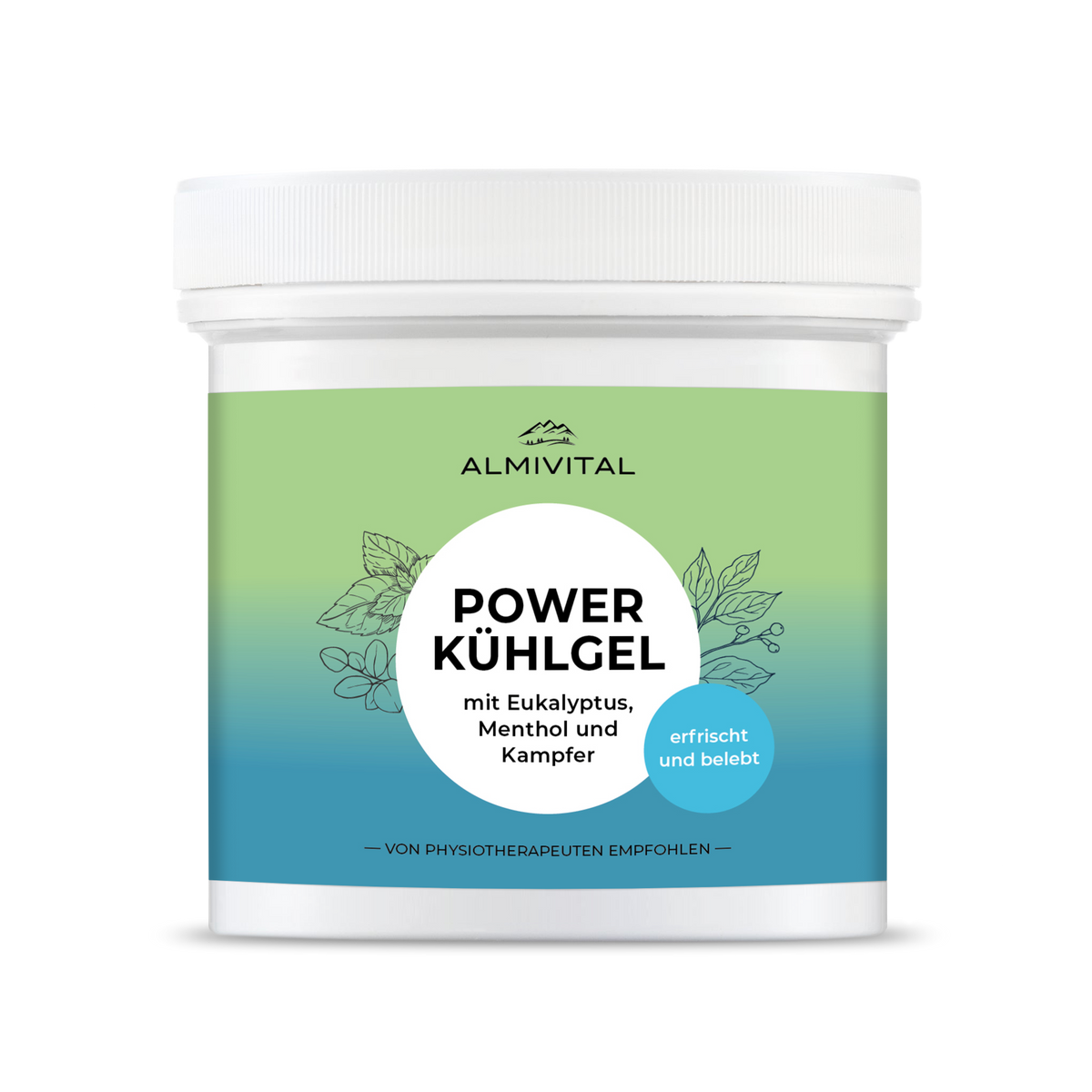 ALMIVITAL Power Kühlgel 500ml